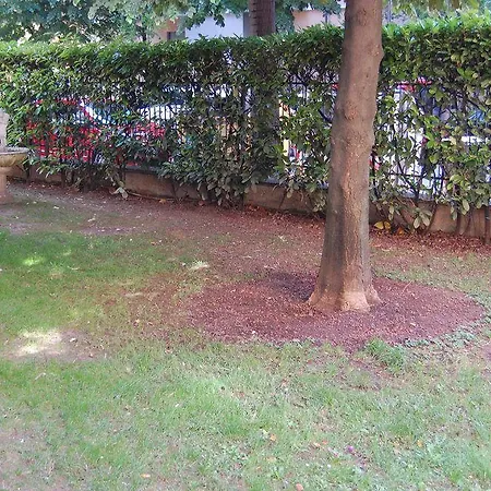 Fiera Guest house